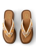 Reach The Beach : Bomba Sliders