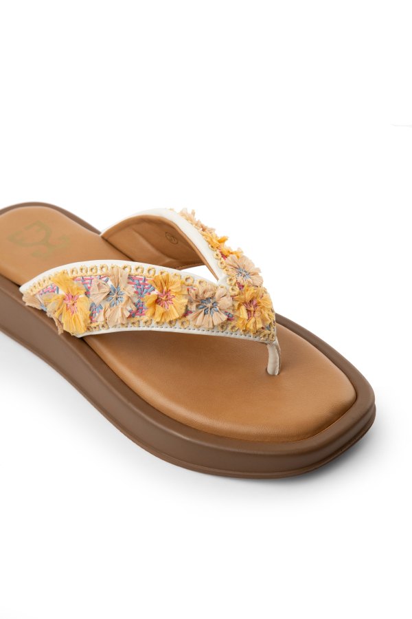 Reach The Beach : Bomba Sliders