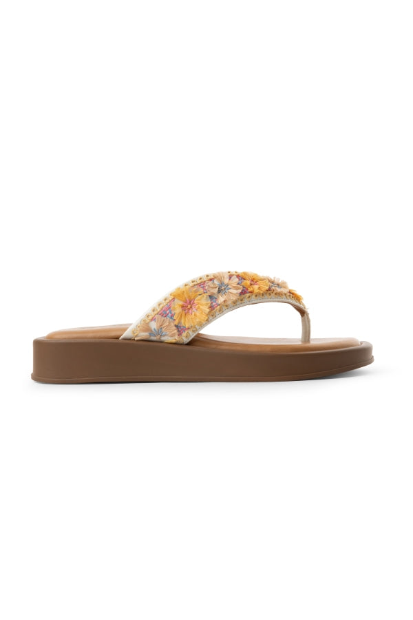 Reach The Beach : Bomba Sliders